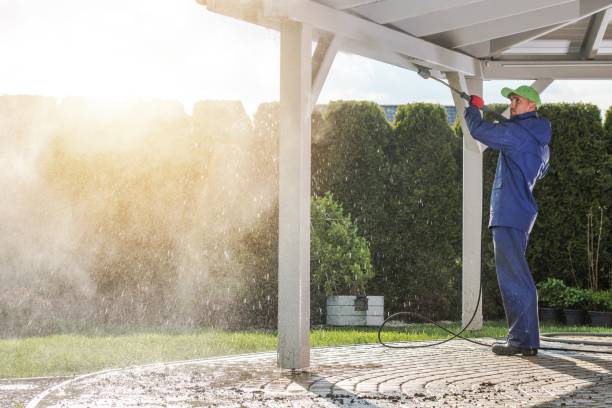 Best Rust Removal  in New Port Richey East, FL